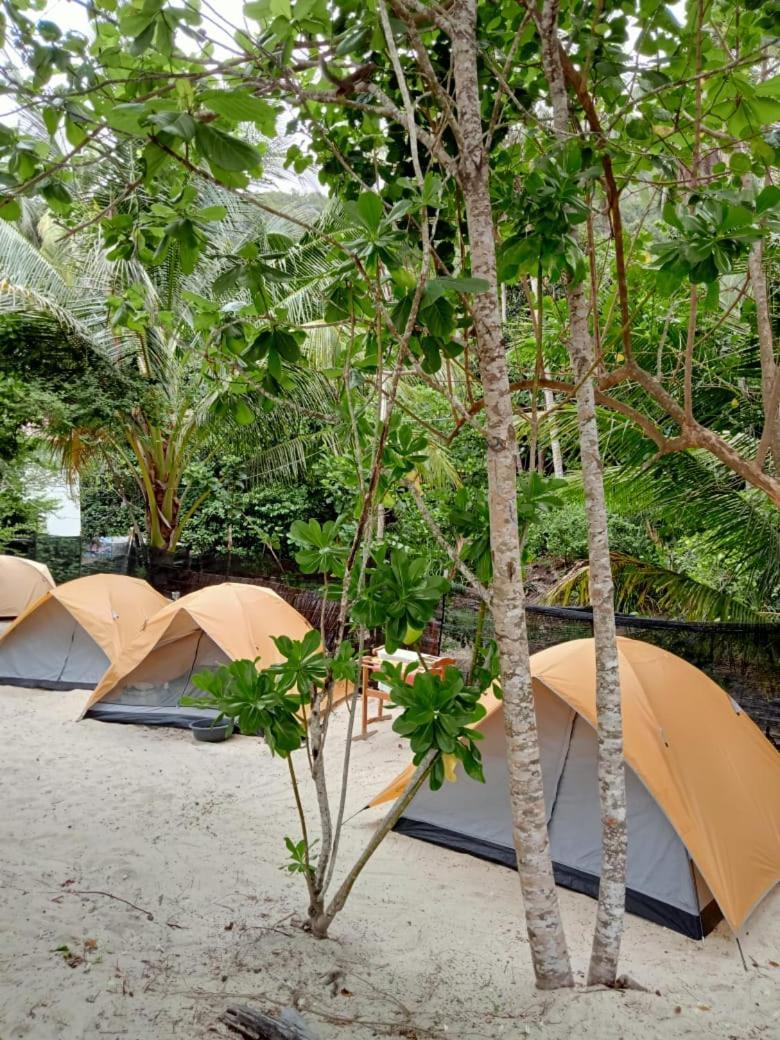 Redang Campstay Kültér fotó